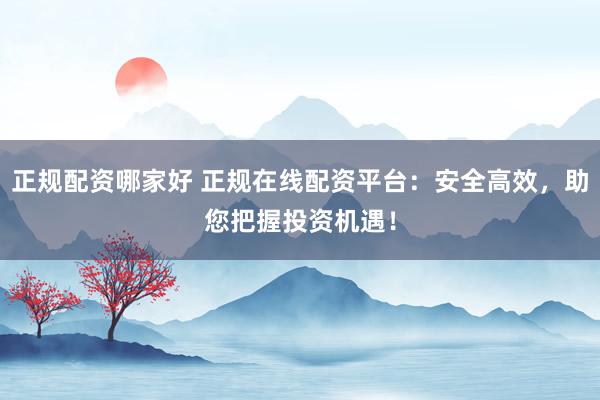 正规配资哪家好 正规在线配资平台：安全高效，助您把握投资机遇！