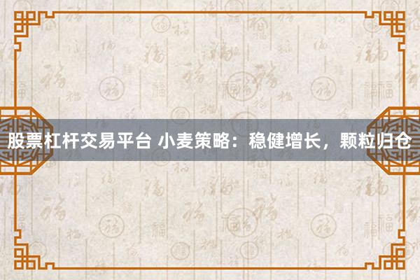 股票杠杆交易平台 小麦策略：稳健增长，颗粒归仓