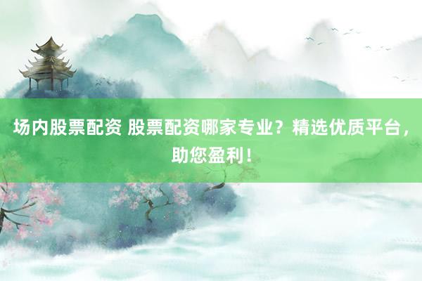 场内股票配资 股票配资哪家专业？精选优质平台，助您盈利！