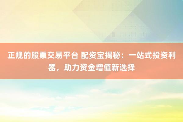 正规的股票交易平台 配资宝揭秘：一站式投资利器，助力资金增值新选择