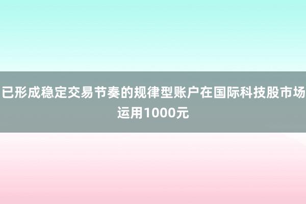 已形成稳定交易节奏的规律型账户在国际科技股市场运用1000元