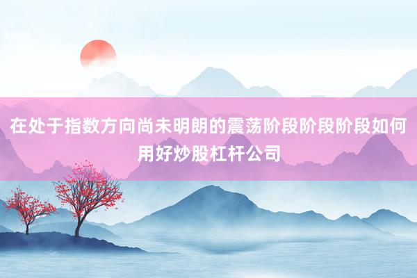 在处于指数方向尚未明朗的震荡阶段阶段阶段如何用好炒股杠杆公司