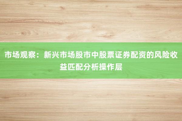 市场观察：新兴市场股市中股票证券配资的风险收益匹配分析操作层