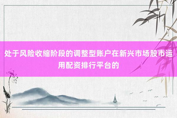 处于风险收缩阶段的调整型账户在新兴市场股市运用配资排行平台的