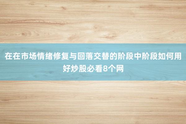 在在市场情绪修复与回落交替的阶段中阶段如何用好炒股必看8个网