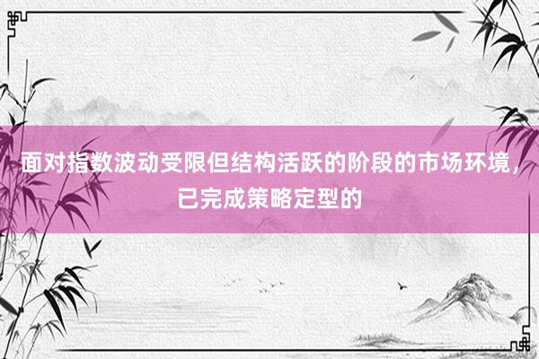 面对指数波动受限但结构活跃的阶段的市场环境，已完成策略定型的