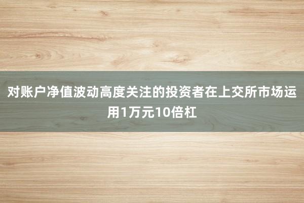 对账户净值波动高度关注的投资者在上交所市场运用1万元10倍杠