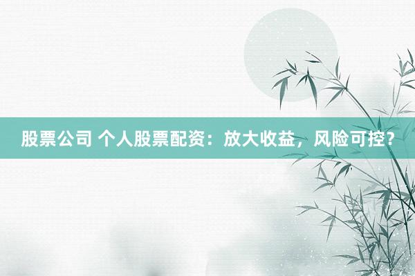 股票公司 个人股票配资：放大收益，风险可控？
