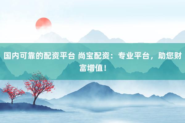国内可靠的配资平台 尚宝配资：专业平台，助您财富增值！