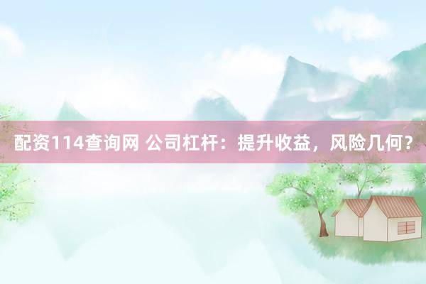 配资114查询网 公司杠杆：提升收益，风险几何？